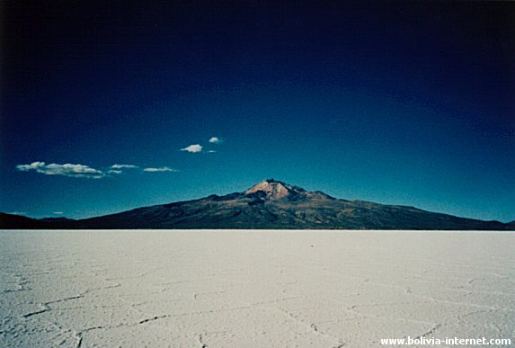 [salar[1].jpg]